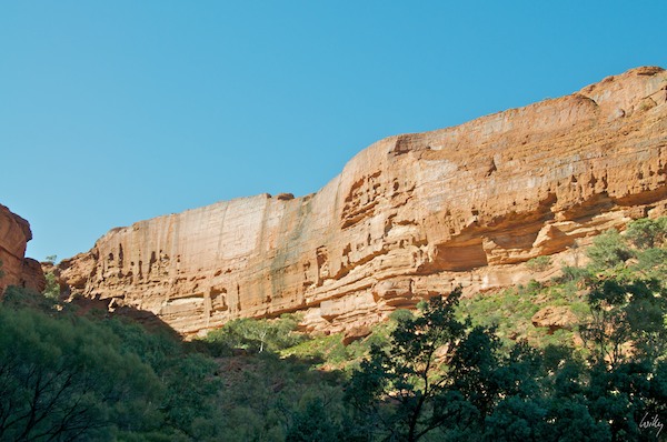 AustraliaAdelaide 10  138